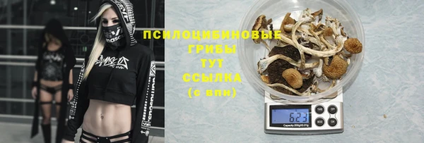 ПСИЛОЦИБИНОВЫЕ ГРИБЫ Нефтегорск